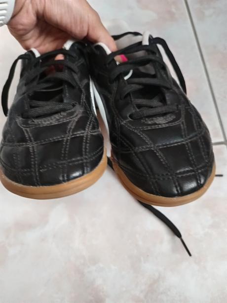 Halovky puma, puma,34