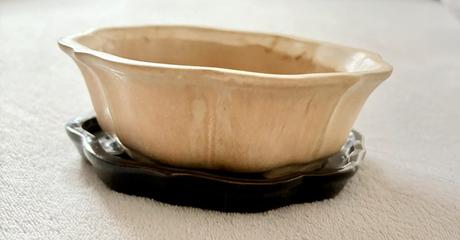 Kvetináč na bonsaj, 