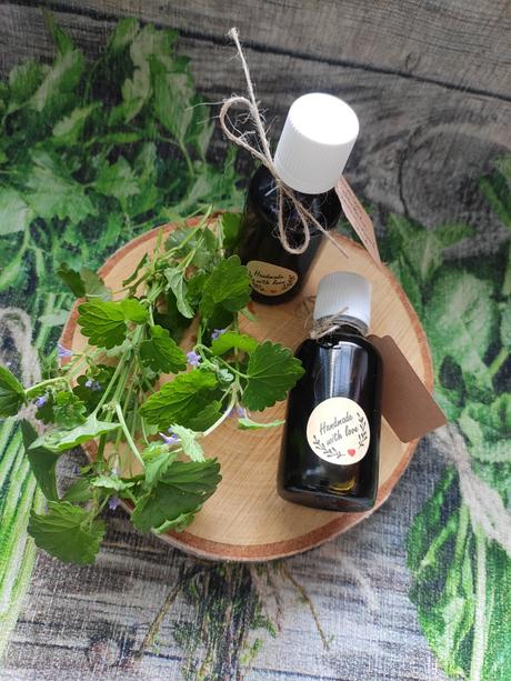 Tinktúra zádušník brečtanovitý, 