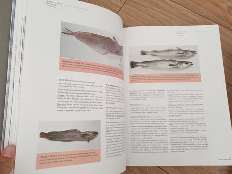 Ryby a morské plody,