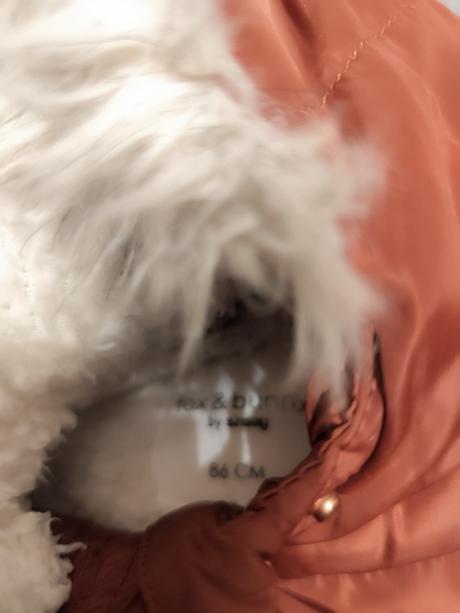 Zimná bundička (parka), fox & bunny,86