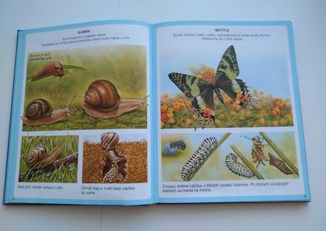 Nové obrázky zvierat, 