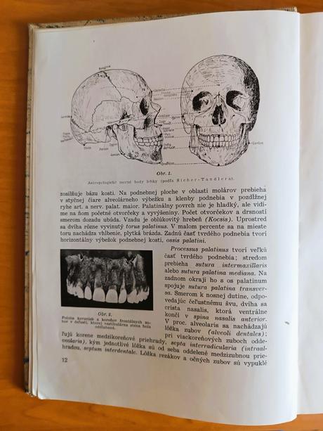 Zubná protetika (1952),