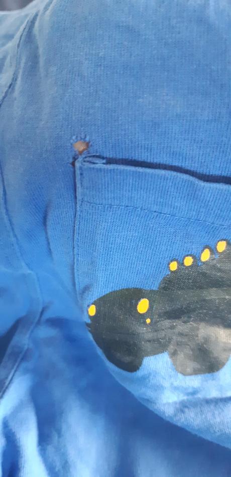 Teplakove kratasky 2ks, h&m,98