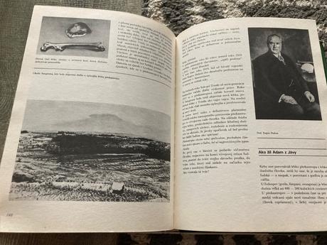 Cesta za adamom (1983), 