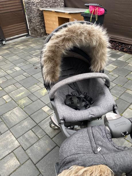 Winterkit stokke, stokke