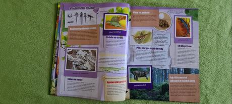 Fascinujúci pravek, 