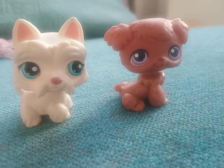 Zvieratká rôzneho druhu, 