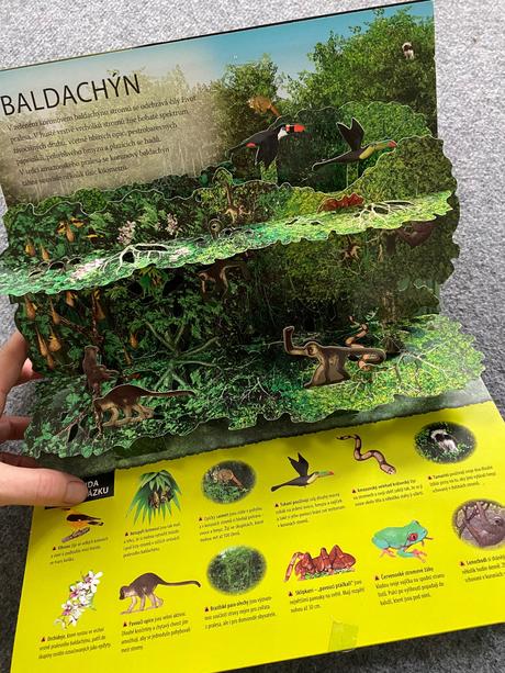 Dve náučné knihy, 