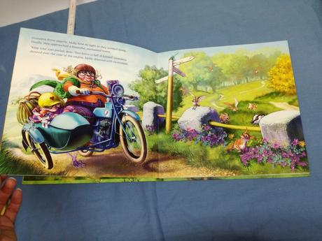 Where's the fairy sp22,