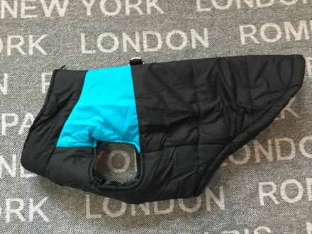 Bunda pre stredneho psa, 