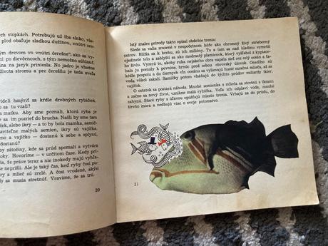 Doniesol ma bocian-prvé vyd.1968, 