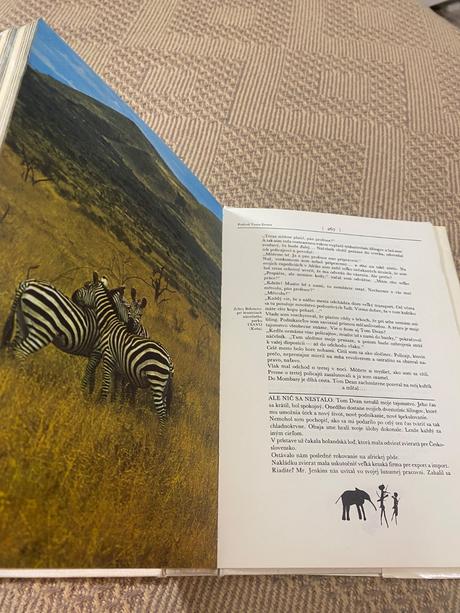 Krásna kniha o afrike safari pod kilimandžárom,