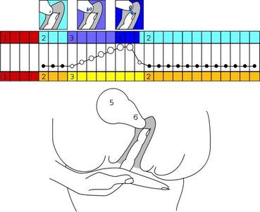 Kontrola krčka maternice