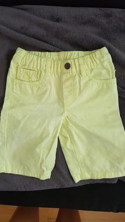 Kratasy, palomino,104