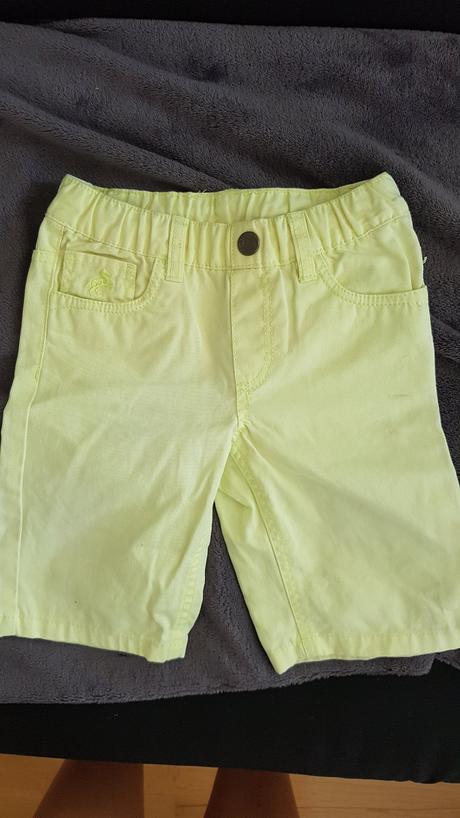 Kratasy, palomino,104