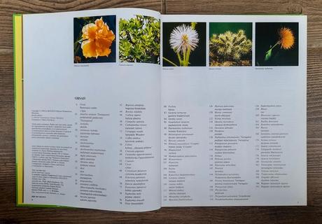 Pestujeme izbové rastliny 2, 