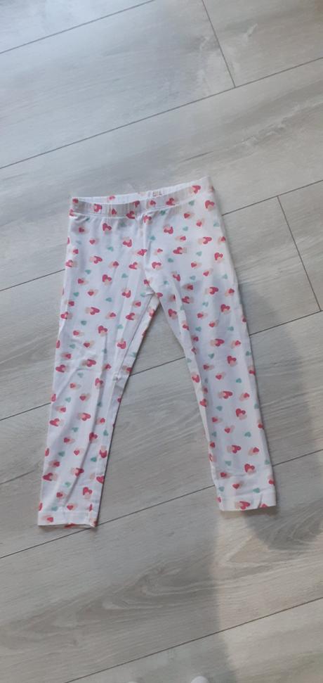Leginy, lupilu,98