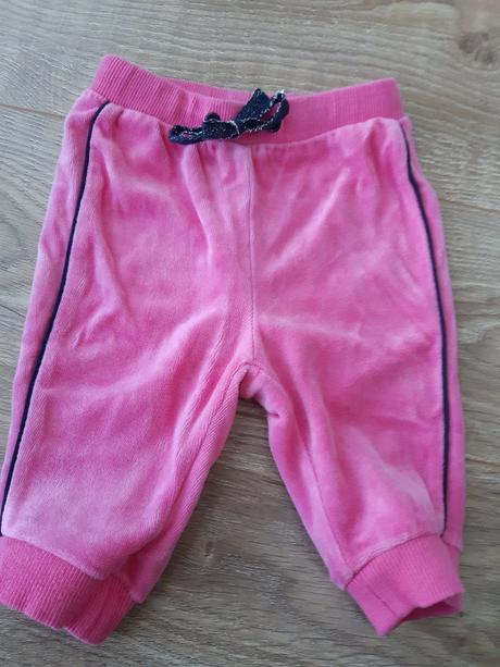 Tepláky coccodrillo, coccodrillo,68