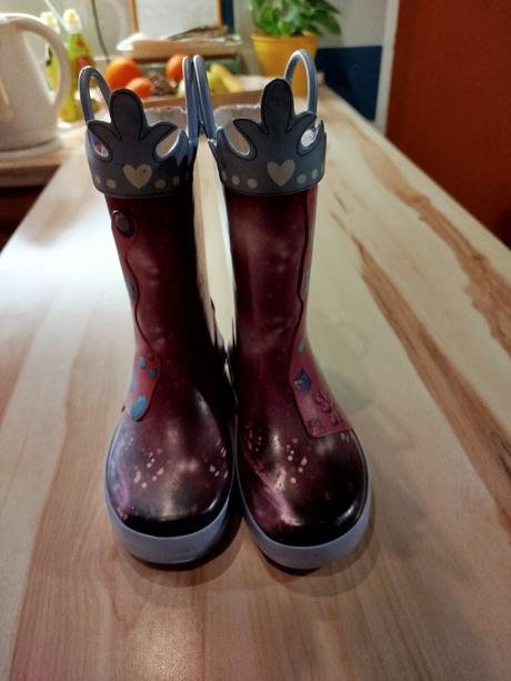 Gumáky frozen, c&a,28