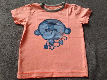 Lososove tricko, next,104