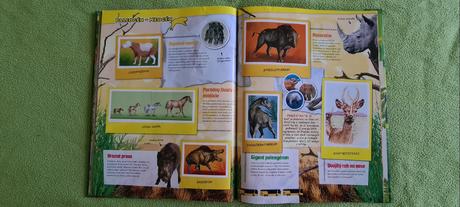 Fascinujúci pravek, 