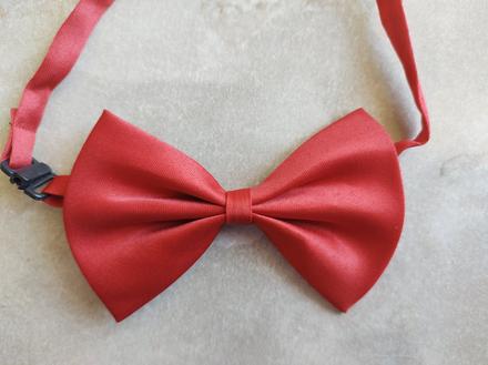 Saténový motýlik, 