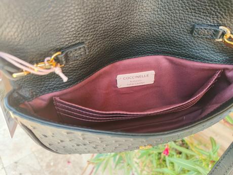 Coccinelle magie ostrich noir, coccinelle