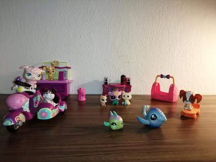 Pet schop mestečko,