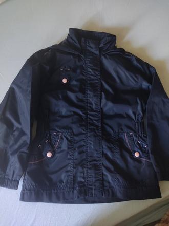 Bunda jarná modrá, alive,128