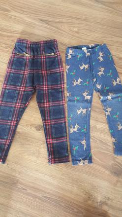 Leginy jeseno zimne, tu,98