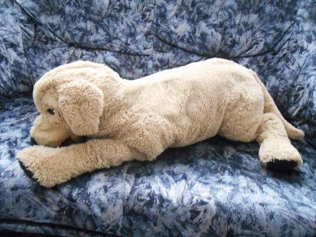 Plyšový gosig golden zlatý retriever,