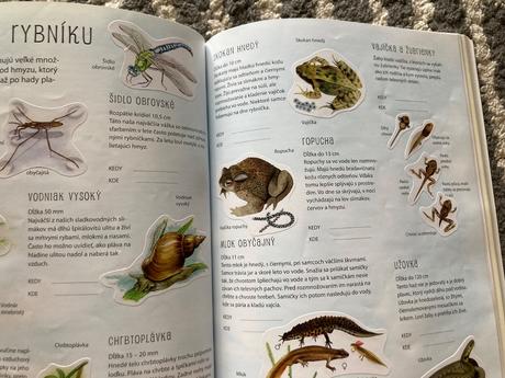 Kniha o zvieratách s nálepkami-zoo,záhrada,motýle,