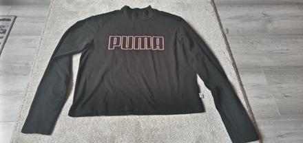 Mikina, puma,m