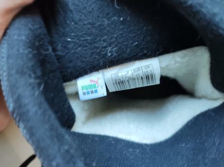 Snehule puma, puma,40