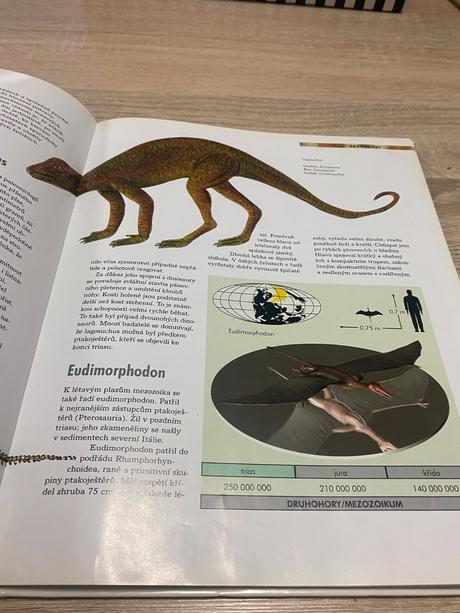 Vědomosti v kostce veľká kniha dinosauři,