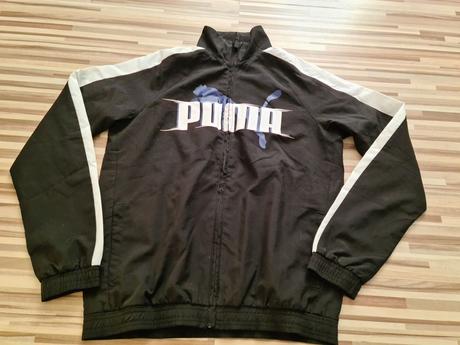 Puma cierna bunda, puma,164