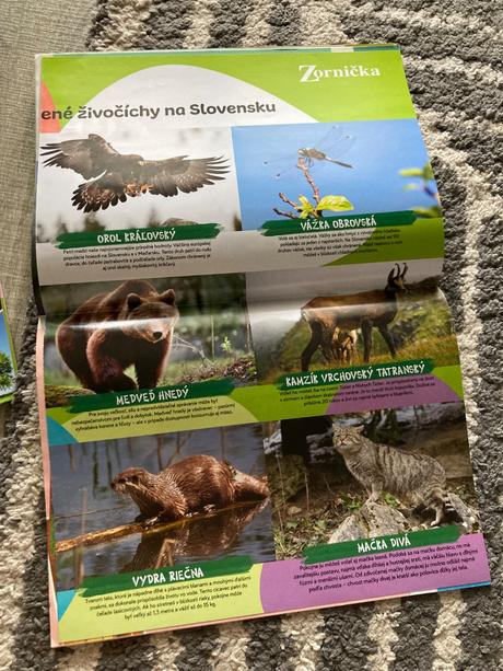 Časopis zornička 5ks, 