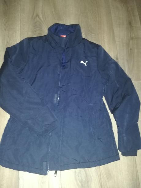 Vetrovka, puma,140