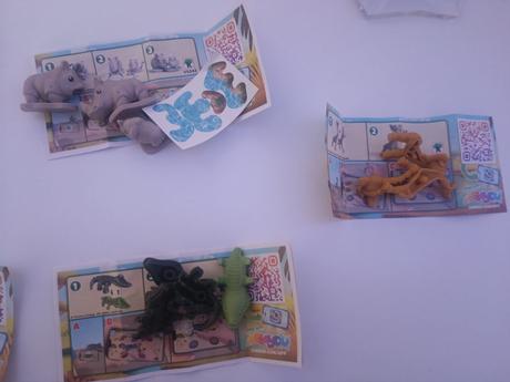 Kinder natoons vs, 