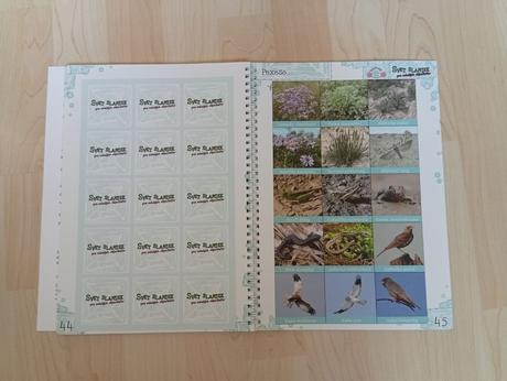 Náučné interaktívne časopisy a omaľovánky, 