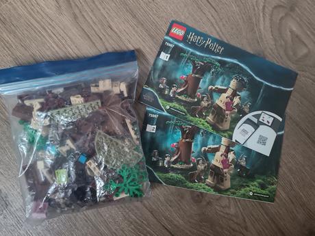 Lego harry potter 75967 zakázaný les, 