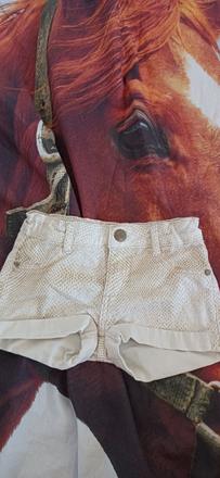 Šortky, terranova,104