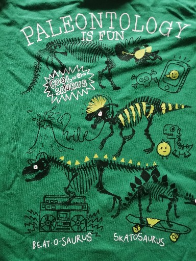 Pyžamo paleontológia je zábava 122, palomino,122