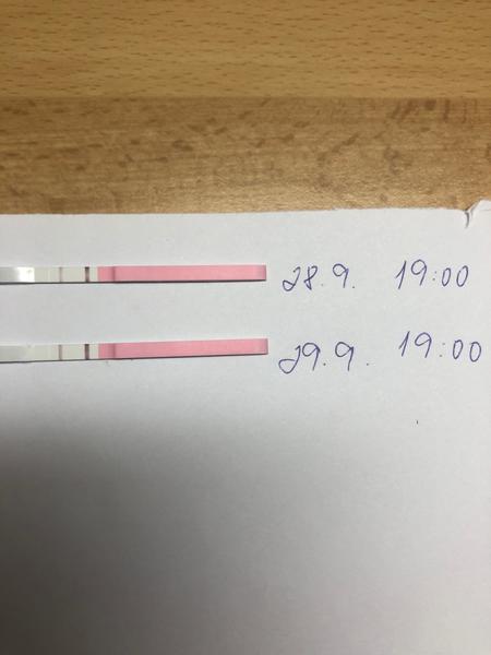 Môže ovu test ukazovať tehotenstvo?