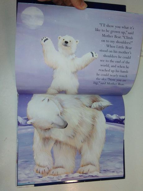 Big bear, little bear hb,