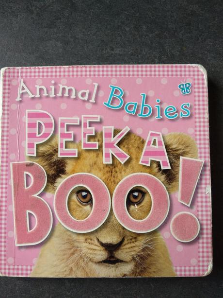 Rôzne knihy - darujem k nákupu,