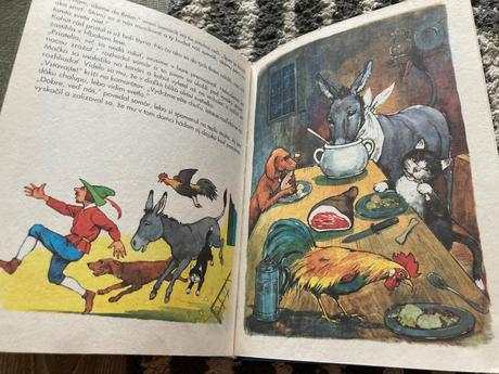 Zlatá húska (1996), 