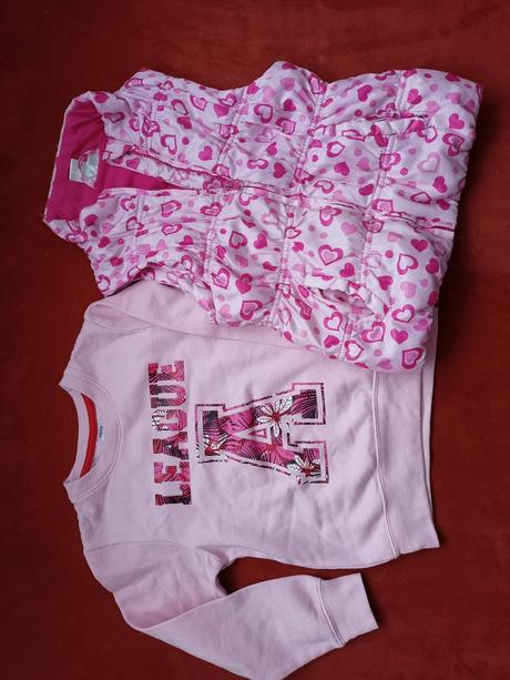 Dievčenská vesta, 110