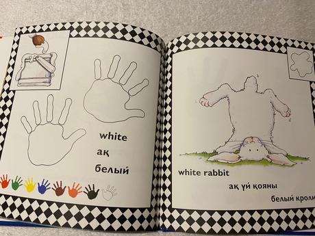 Krásna rusko anglická kniha farby colours tuster c,